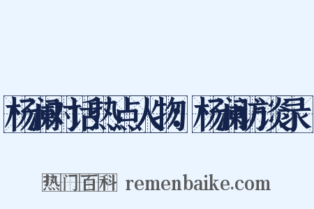 杨澜对话热点人物：杨澜访谈录Ⅱ是什么意思的图片